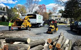 Best Lot and Land Clearing  in Ames Lake, WA