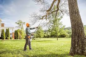 Best Pest Control for Lawns  in Ames Lake, WA